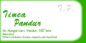 timea pandur business card